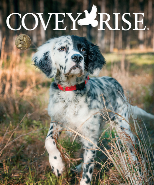 Covey Rise